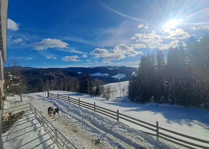 Gutschi Ranch Appartamento Kamp